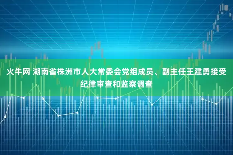 火牛网 湖南省株洲市人大常委会党组成员、副主任王建勇接受纪律审查和监察调查