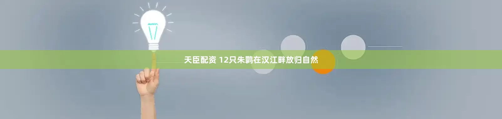 天臣配资 12只朱鹮在汉江畔放归自然