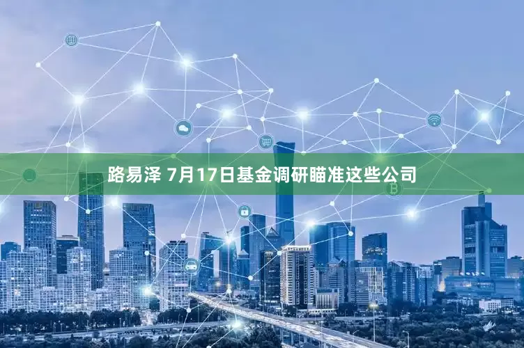路易泽 7月17日基金调研瞄准这些公司